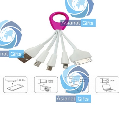 Smartphone USB 4 in 1 Charging Cable